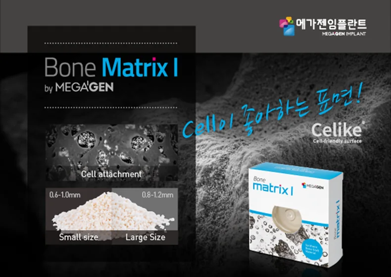 Bone Matrix I، گرافت دو فازی ۶۰ به ۴۰